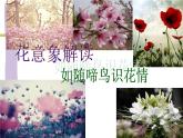 高中语文通用《花意象解读——如随啼鸟识花情》教学课件23张