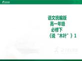 人教统编版语文 9《说“木叶”》第一课时 课件（35张PPT）+教案