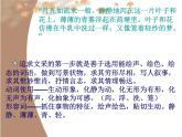 学习写得有文采 课件