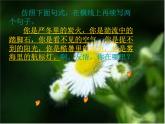 学习写得有文采 课件