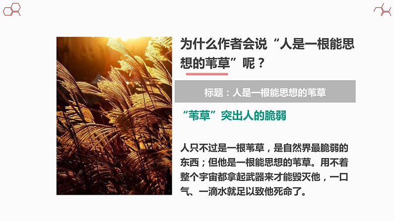 【精品教学】10 《短文三篇》第二课时《人是一根能思想的苇草》-2020-2021学年高一语文人教版必修4同步教学 课件教案06