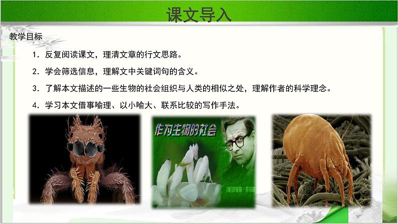 《作为生物的社会》示范课教学PPT课件【语文人教必修5】03