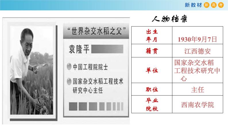 2.4.1 喜看稻菽千重浪--记首届国家最高科技奖获得者袁隆平课件05