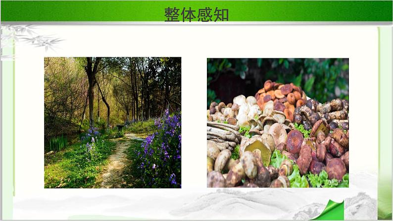 《一个消逝了的山村》示范课教学PPT课件（高中语文北师大版必修3）06