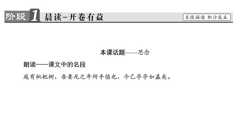 高中语文人教版《中国古代诗歌散文欣赏 》课件：散文之部 第6单元项脊轩志02