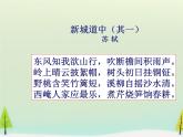 高中语文 第二单元 新城道中课件 新人教版选修《中国古代诗歌散文欣赏》