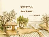高中语文 第六单元 种树郭橐驼传课件 新人教版选修《中国古代诗歌散文欣赏》