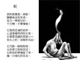高中语文人教选修《中国现代诗歌散文欣赏》课件：诗歌部分 第三单元 爱的心语--蛇（共12张PPT）