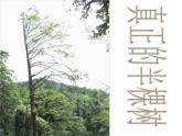 高中语文人教选修《中国现代诗歌散文欣赏》课件：诗歌部分+第四单元+大地的歌吟--半棵树（共21张PPT）