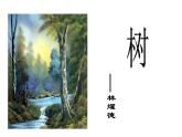高中语文人教选修《中国现代诗歌散文欣赏》课件：散文部分 第五单元 自然的年轮--树（共15张PPT）