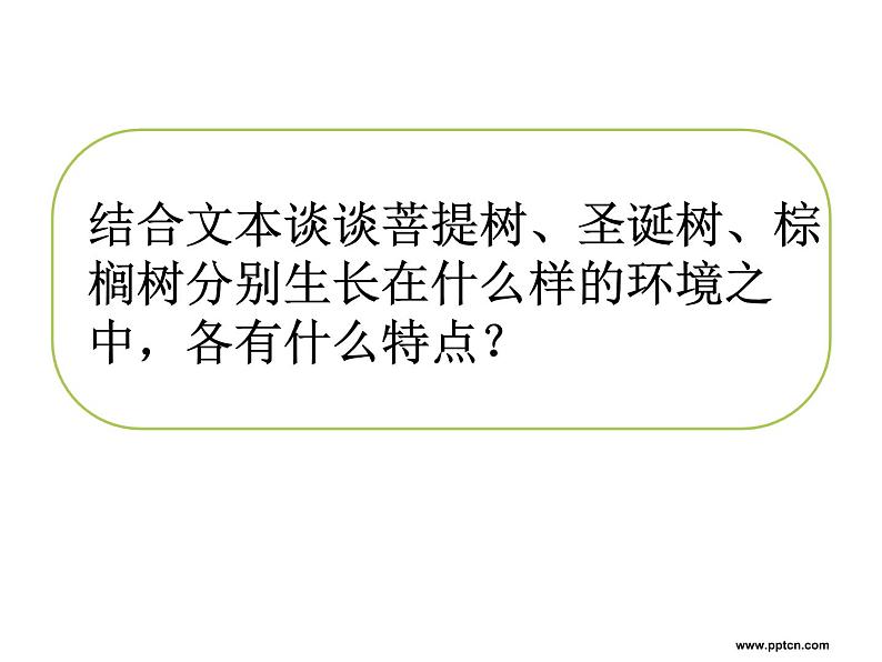 高中语文人教选修《中国现代诗歌散文欣赏》课件：散文部分 第五单元 自然的年轮--树（共15张PPT）06