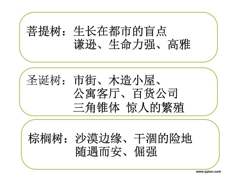 高中语文人教选修《中国现代诗歌散文欣赏》课件：散文部分 第五单元 自然的年轮--树（共15张PPT）07