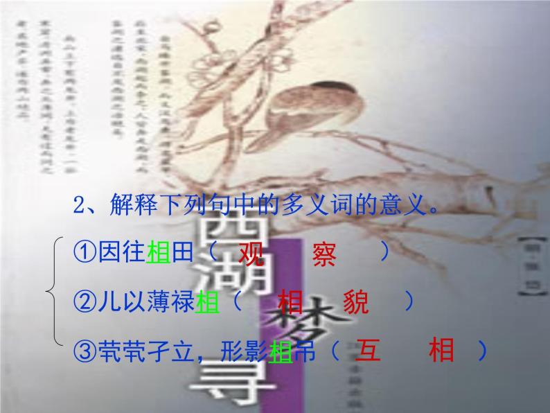 人教版选修《中国古代诗歌散文欣赏》课件：第六单元-+游沙湖（共15张PPT）05