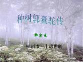 人教版选修《中国古代诗歌散文欣赏》课件：第六单元-种树郭橐驼传（共32张PPT）