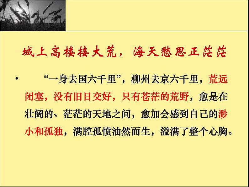 人教版选修《中国古代诗歌散文欣赏》课件：第三单元- 登柳州城楼（共14张PPT）03