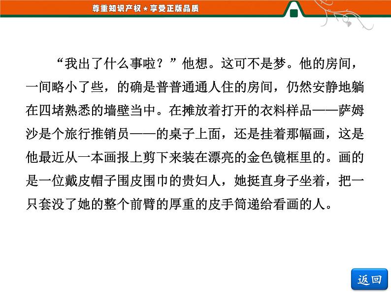 人教版高中语文选修《外国小说欣赏》第八单元   小说鉴赏方略之八 课件06