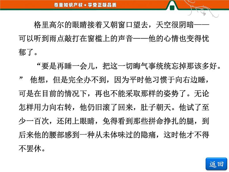 人教版高中语文选修《外国小说欣赏》第八单元   小说鉴赏方略之八 课件07