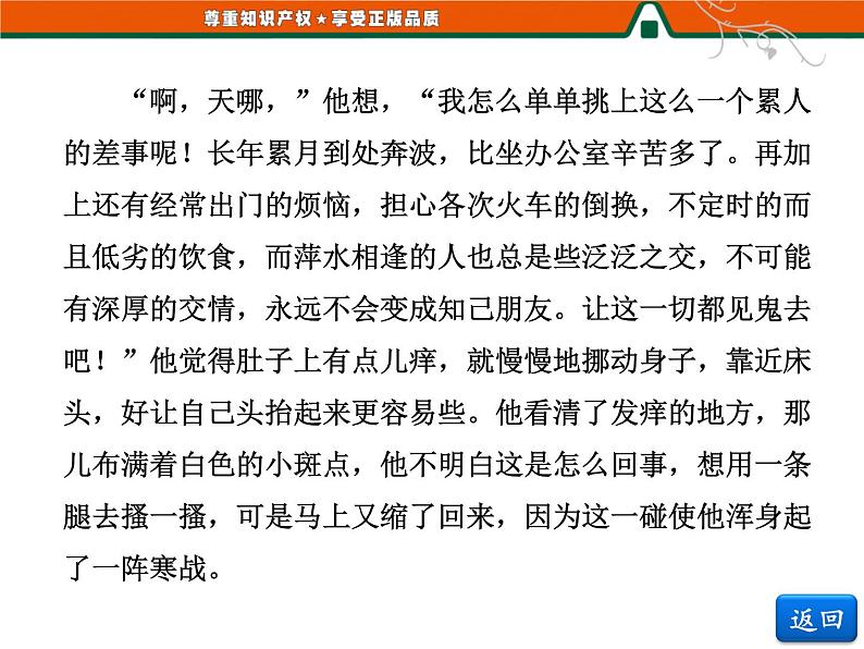 人教版高中语文选修《外国小说欣赏》第八单元   小说鉴赏方略之八 课件08