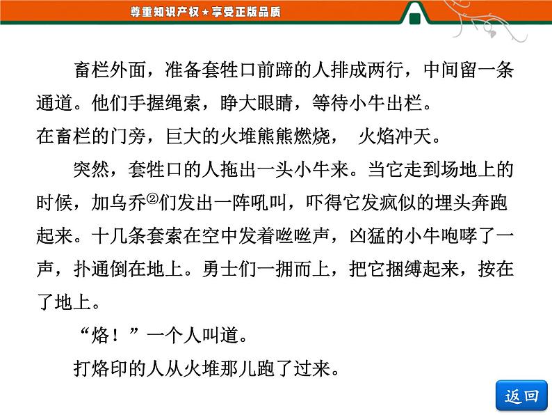 人教版高中语文选修《外国小说欣赏》第四单元   小说鉴赏方略之四 课件06