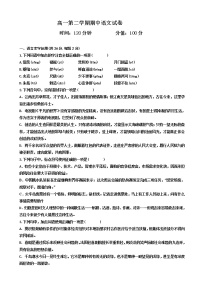 浙江省嘉兴市第一中学高一下学期期中考试语文试题（含答案）