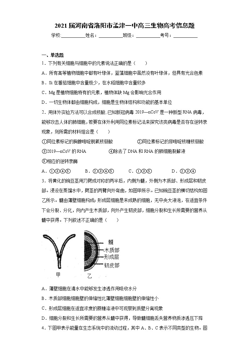 2021届河南省洛阳市高三生物高考信息题（word版 含答案）第1页