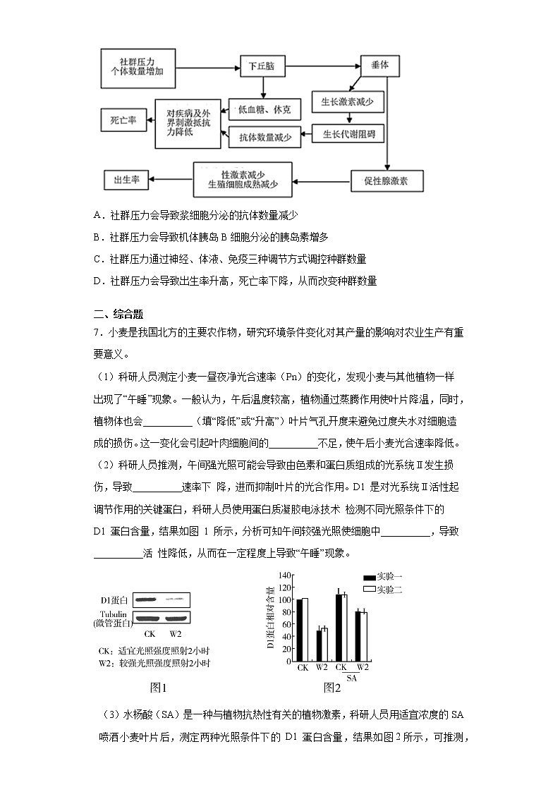 2021届河南省洛阳市高三生物高考信息题（word版 含答案）第3页