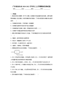 广东省汕头市2020-2021学年高二上学期期末生物试题（word版 含答案）