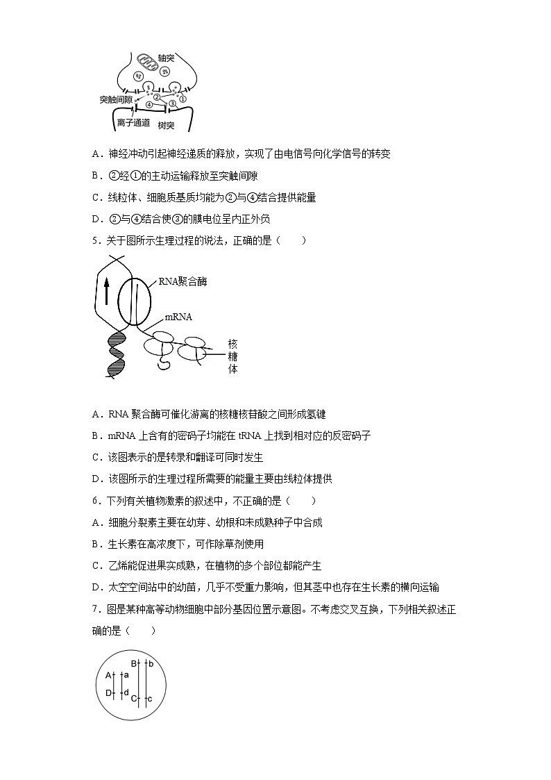 广东省汕头市2020-2021学年高二上学期期末生物试题（word版 含答案）02