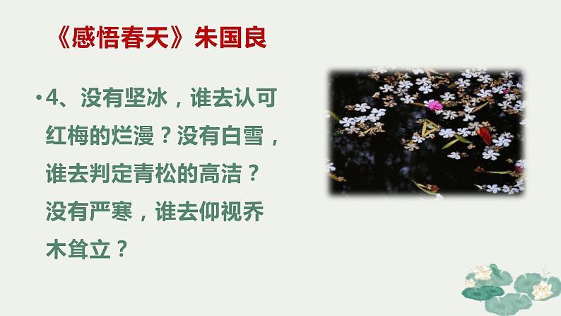 微阅读3   80篇著名文章80个经典段落（上）（42张）第5页