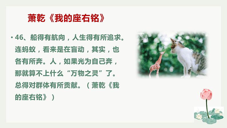 微阅读3   80篇著名文章80个经典段落（下）（42张）第7页