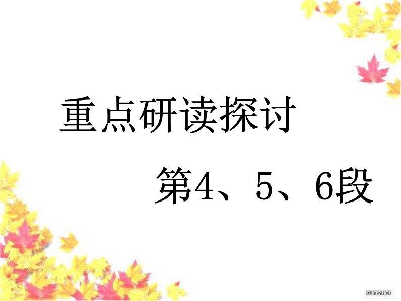 人教版高中语文必修5第三单元《说木叶》课件26张PPT07