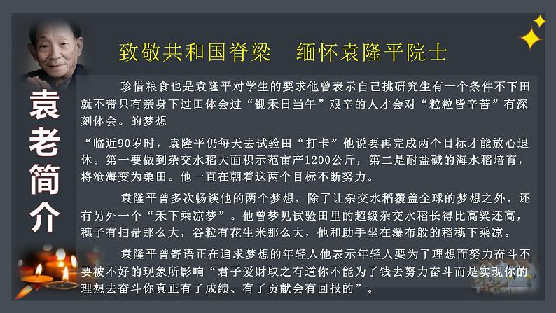 高考语文　致敬共和国脊梁  缅怀袁隆平院士 课件06