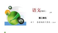 语文必修 上册4.1 喜看稻菽千重浪――记首届国家最高科技奖获得者袁隆平教学ppt课件
