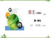第一單元 3.1《百合花》（課件+朗誦音頻）