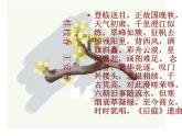 统编版（2019）高一下学期语文必修下册课件：古诗词诵读 桂枝香__金陵怀古