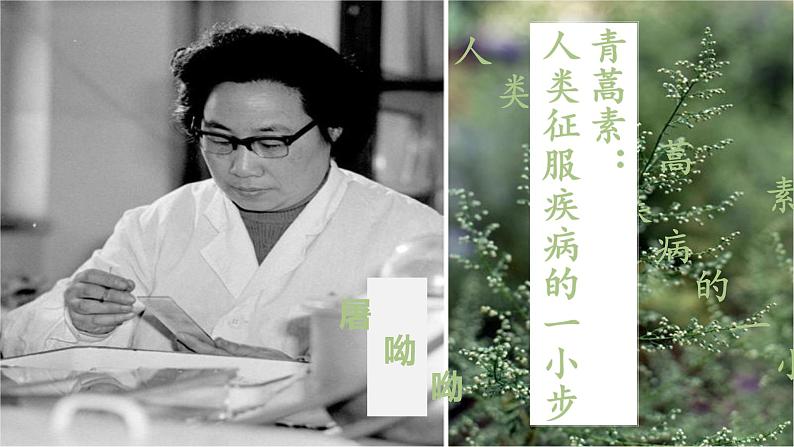 【新教材】第三单元7《青蒿素：人类战胜征服疾病的一小步》课件（33张ppt）-2020-2021学年部编版（2019）高一语文必修下册第1页