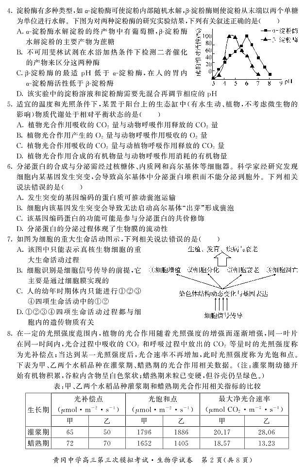 2021高考语文 黄冈中学最后一卷02