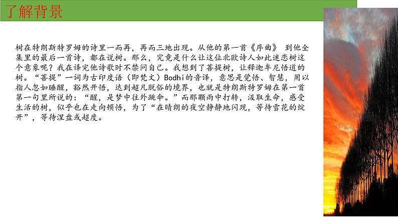 第四单元 特朗斯特罗姆13《树和天空》课件-山东省泰安第二中学2020-2021学年高中语文（统编版）选择性必修中册第3页