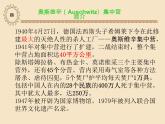 人教版高中语文必修一4.10《奥斯维辛没有什么新闻》课件ppt