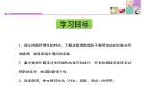 人教版高中语文必修一1.3《大堰河——我的保姆》课件ppt (1)