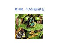 高中语文人教版 (新课标)必修五12 作为生物的社会教案配套ppt课件