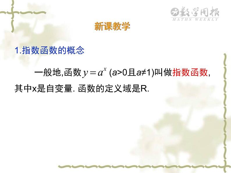 高中数学人教A版（2019）必修一  4.2指数函数及其性质课件PPT08