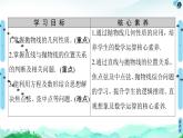 第3章 3.3　3.3.2　抛物线的简单几何性质-【新教材】人教A版（2019）高中数学选择性必修第一册课件(共65张PPT)