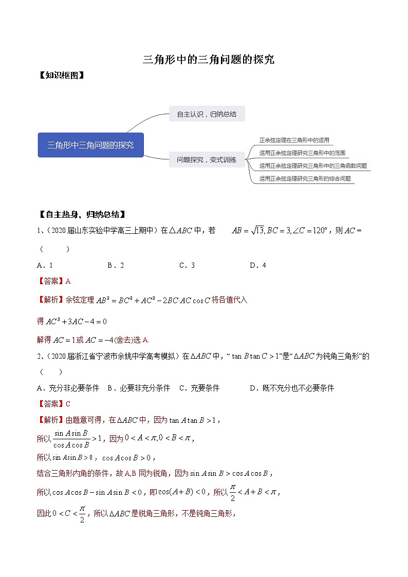 优化提升专题训练（新高考） 三角形中的三角问题的探究（含答案解析）学案01