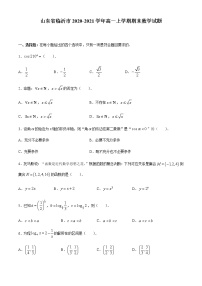 山东省临沂市2020-2021学年高一上学期期末数学试题(无答案)