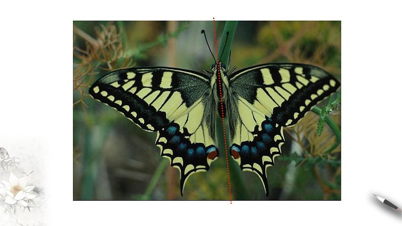 人教A版（2019年）必修一数学3.2.2 奇偶性（课件、教案、学案、配套练习含解析）03