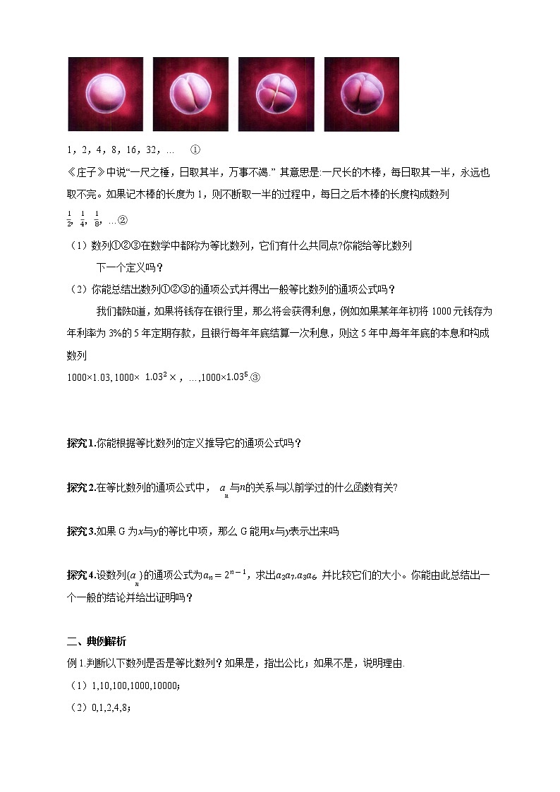 【新教材精创】5.3.1 等比数列  导学案(人教B版 高二 选择性必修第三册)02