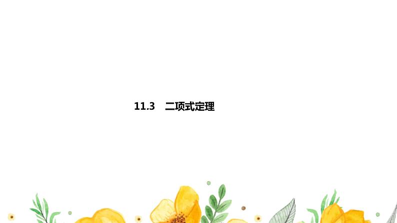 11.3　二项式定理课件PPT01