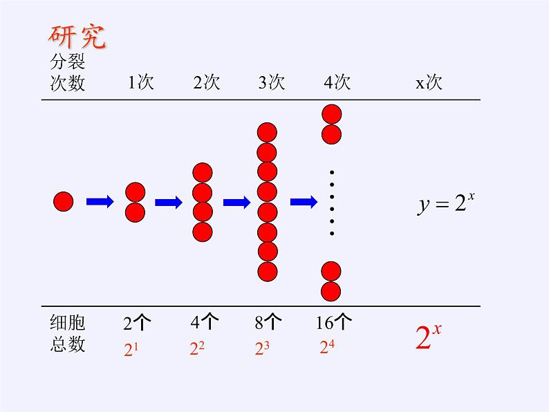 苏教版高中数学必修一 3.1.2 指数函数（课件）05