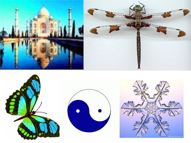 1.3.2函数的奇偶性课件PPT01